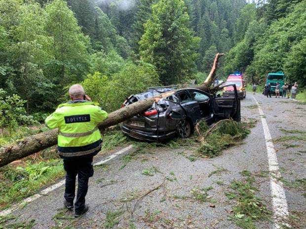 Furtună pe Transalpina. O femeie a murit după ce un copac a căzut peste mașină