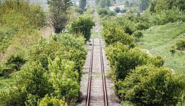 Şi dacă… ramuri bat în geam şi ne întârzie trenurile