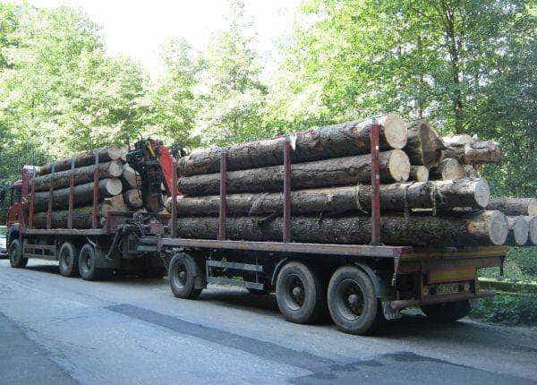 La furat de lemne cu camionul sau cu căruța. Fiecare după posibilități.