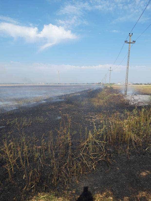 Aproape 20 de hectare de teren, cuprinse de flăcări în Argeș. Pompierii se luptă cu focul de 2 ore 