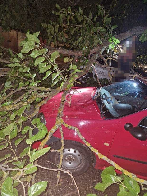 Vântul a făcut ravagii în Argeș