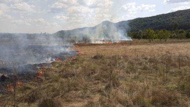 Incendiu intenționat la Lăzărești