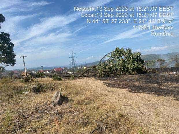 Incendiu în Argeş, la Merişani! Cauza: un copac tăiat a rupt cablurile electrice