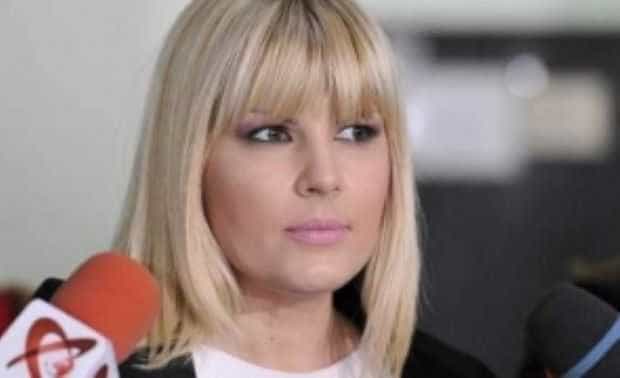 Elena Udrea și-a retras cererea de eliberare condiționată