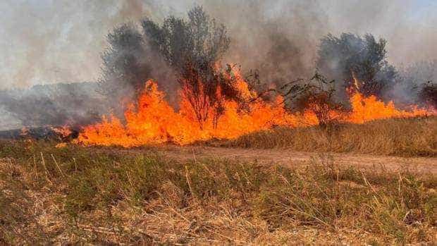 Trafic blocat total pe autostrada București – Pitești din cauza unui incendiu de vegetaţie