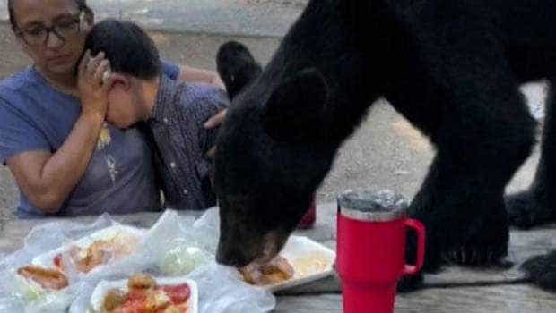 O mamă își apără fiul de un urs care a sărit pe masă când mâncau! I-a spus că trebuie să se joace „de-a statuile”