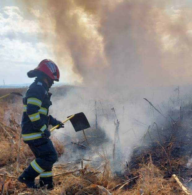 Incendii izbucnite la vegetația uscată în Argeș