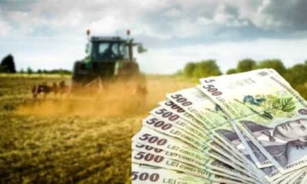 Amânarea ratelor bancare pentru producătorii agricoli a fost adoptată de Guvern