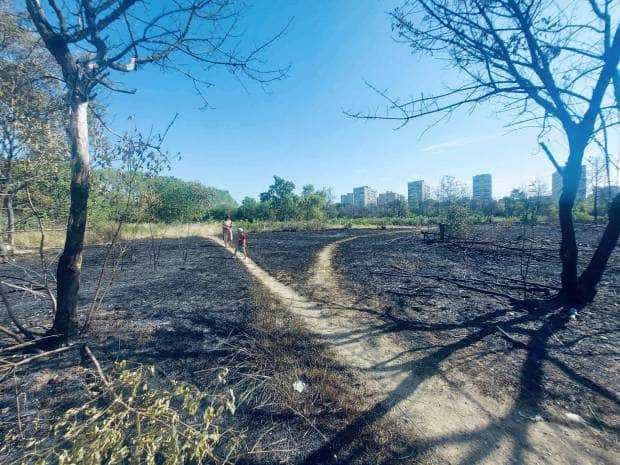 Amendă record, de 35 de milioane de euro, pentru distrugerea unui spațiu verde
