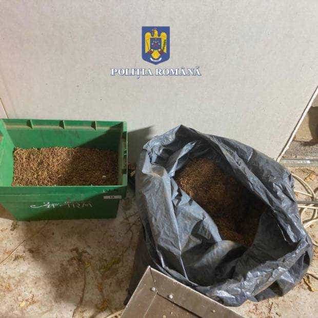 Peste 1.100 de kilograme de tutun foi, descoperite de poliţişti 