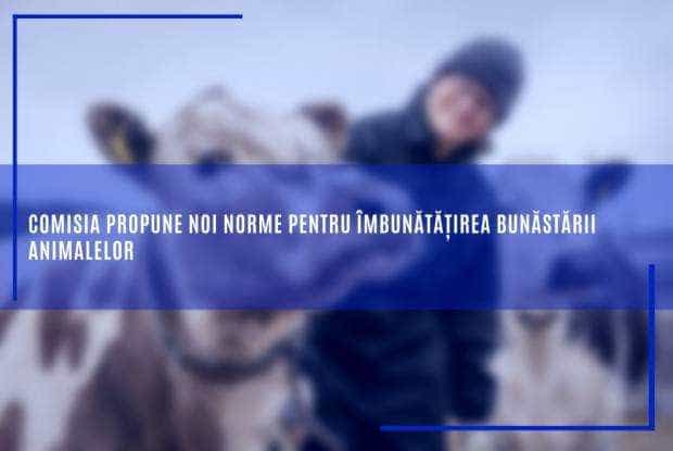 Comisia Europeană propune noi norme pentru îmbunătățirea bunăstării animalelor