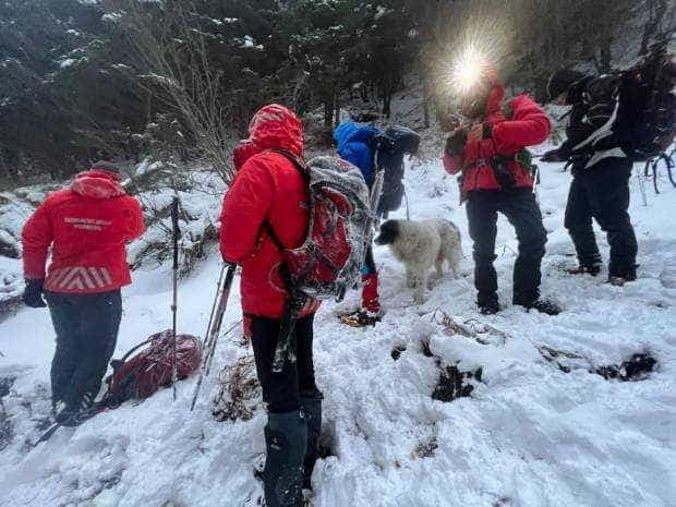 Dragoslavele. Salvamontiștii și pompierii caută cadavrul fără mâna dreaptă