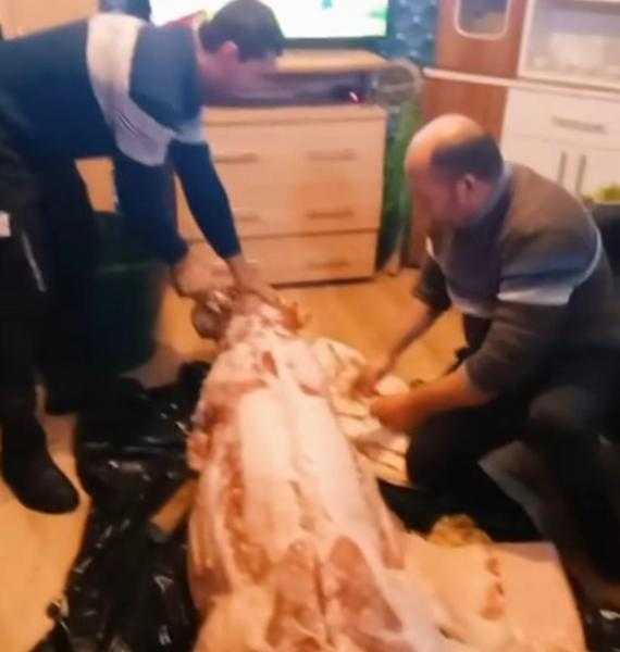 Imagini virale: Porc tranșat în mijlocul sufrageriei