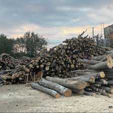 Depozit de lemne din Rucăr – amendă de 25. 000 lei și peste 150 mc de material lemnos confiscat