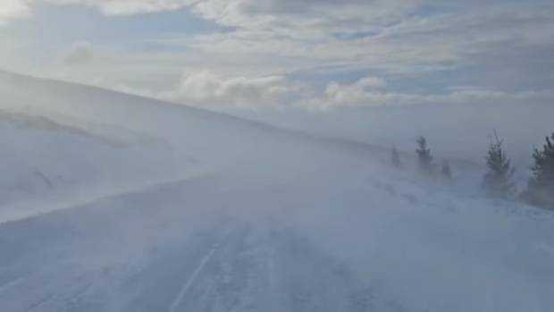 Viscolul puternic menține închisă circulația pe Transalpina între Rânca și Novaci