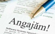 angajari_stat