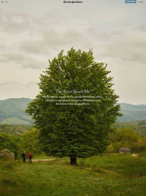 The New York Times scrie despre „Pădurea cu Povești Nemuritoare” de la Nucșoara