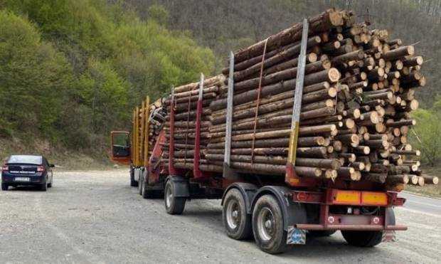 Transport ilegal de lemne la Domnești