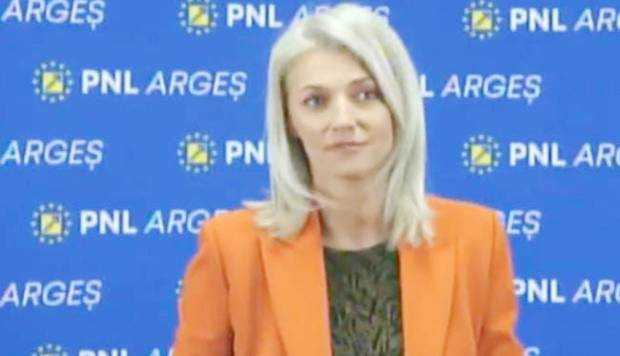 Cât costă organizarea alegerilor din 2024. Alina Gorghiu: „Nu avem voie să întindem nervii românilor”