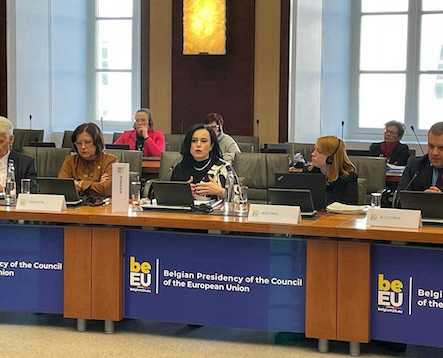 Ministrul Muncii și Solidarității Sociale, Simona Bucura-Oprescu, a participat la Bruxelles, la Conferința Ministerială privind venitul minim de incluziune