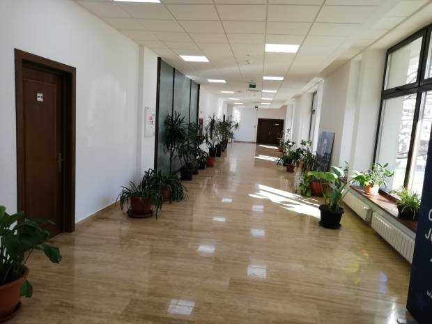 După renovare, holul de la intrarea în CJ Argeș arată ca o grădină botanică