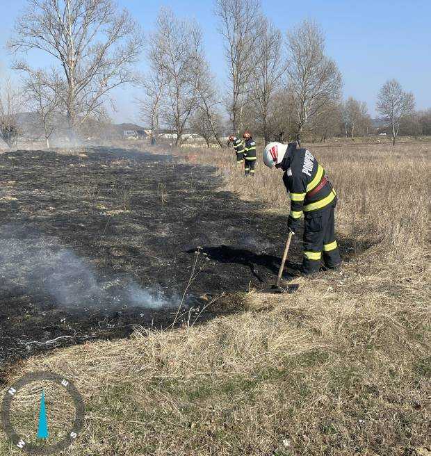 Patru incendii de vegetație au distrus zeci de hectare din Argeș