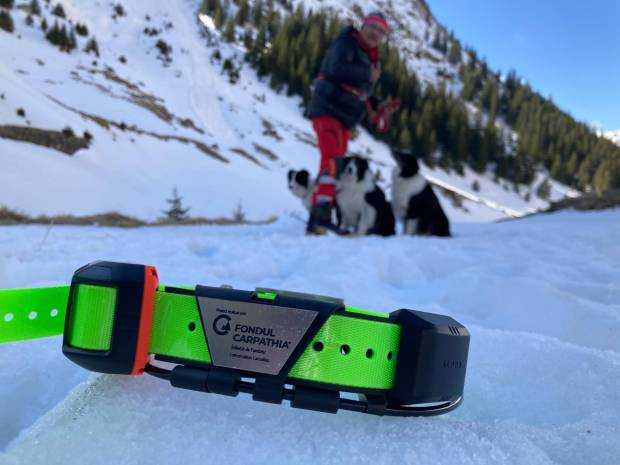 Echipa canină Salvamont Argeș, dotată cu dispozitive GPS de la „Conservation Carpathia”