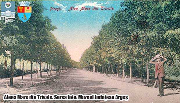Istoricul Pădurii Trivale (1). Piteştiul a primit 165 ha pentru pădure de agrement încă din 1943