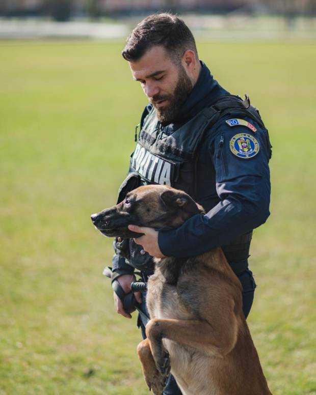 Poliția caută conductor de câini în Argeș. Alte 59 de posturi libere în țară