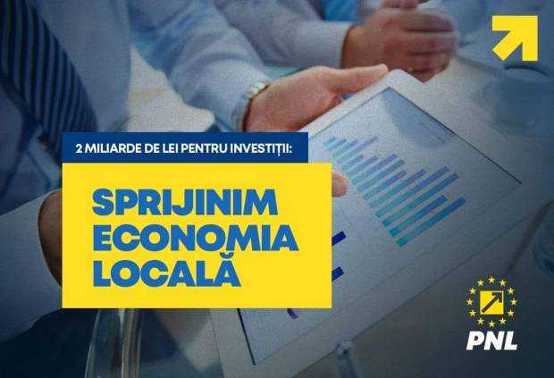 Senator Dănuț Bica: ”Sprijinim economia națională și mediul privat”