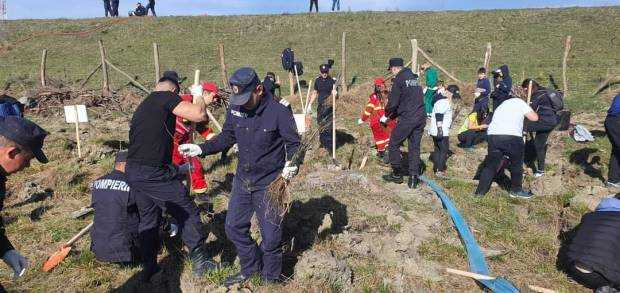 Jandarmii au pus umărul la plantarea unei păduri