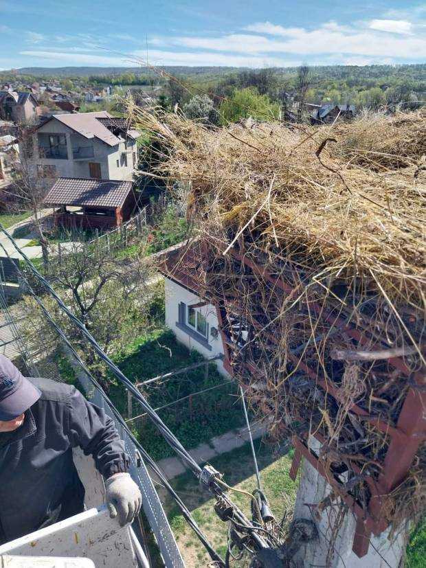 Cuib de barză montat de autorități, la Mioveni. Astăzi a sosit și locatara