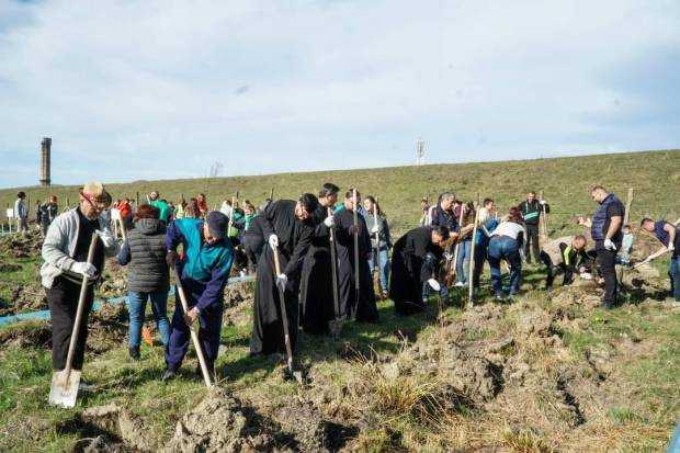 Curtea de Argeș. 500 de voluntari au plantat 15.000 de puieți