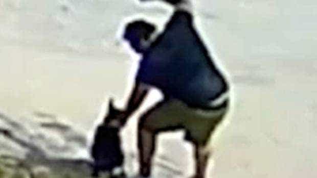 Un argeșean și-a ucis câinele în bătaie! Dosar finalizat