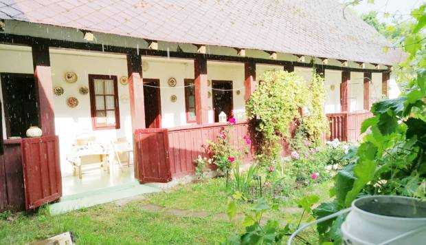 „Casa Gheorghe Stephănescu”, monument istoric, scoasă la licitaţie