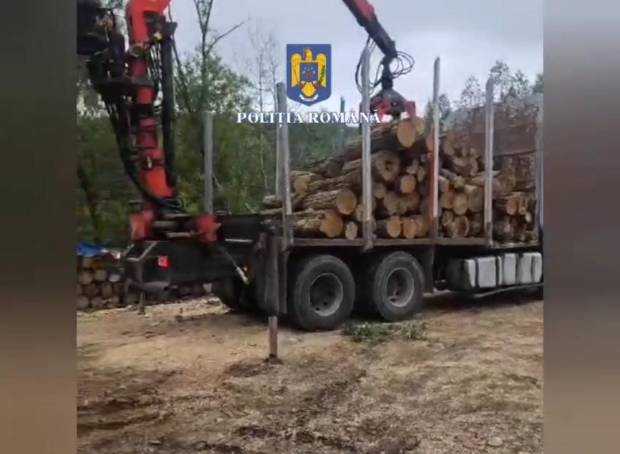 VIDEO. Captură uriașă de lemne. Ce au găsit polițiștii la perchezițiile din Argeș