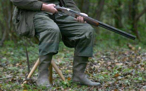 Bărbat prins după ce a împușcat cerbul la Nucșoara
