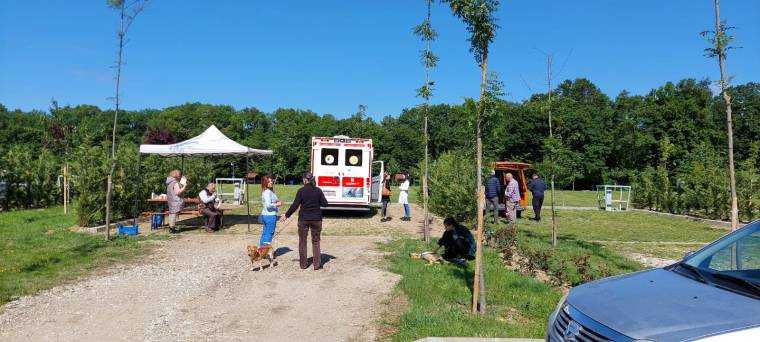 Mioveni. Încă 25 de câini și pisici, cu sterilizare gratuită