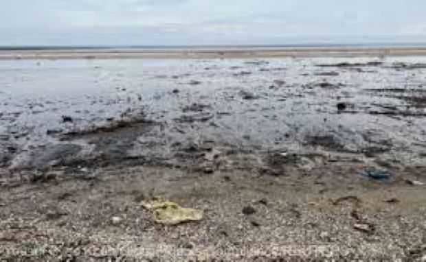Nivel de poluare extrem de mare pe litoral, după deschiderea sezonului estival