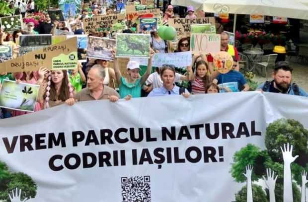 Protest cu mii de persoane la Iași. S-a cerut stoparea distrugerii pădurilor și a copacilor seculari din jurul municipiului