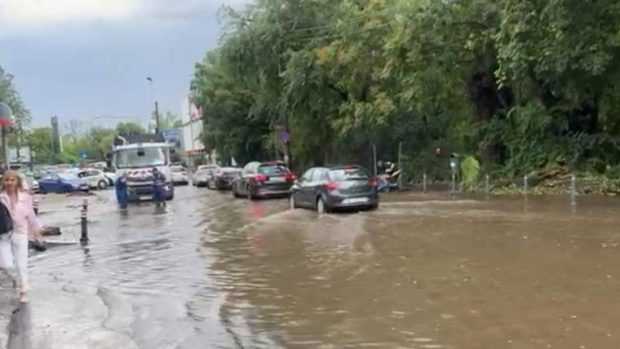 Vremea rea a făcut prăpăd în București: copaci căzuți, case și străzi inundate