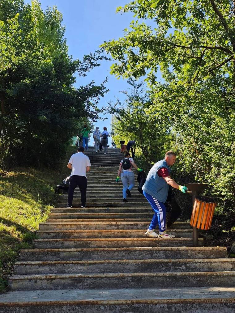 Voluntarii au curățat zonele verzi din Mioveni