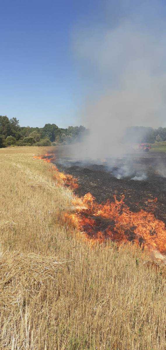 Incendii la Stolnici, Vedea și Călinești