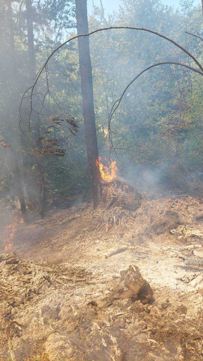 Pompierii solicitați să stingă mai multe incendii în Argeș