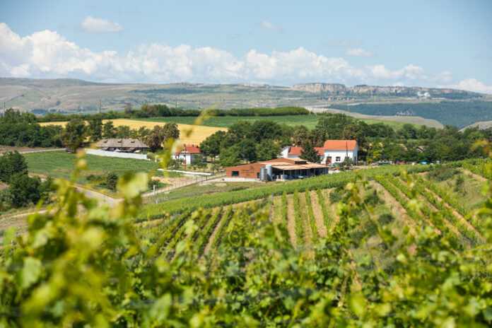 Un vin alb românesc a câştigat marele premiu la un concurs internaţional de profil de la Bruxelles