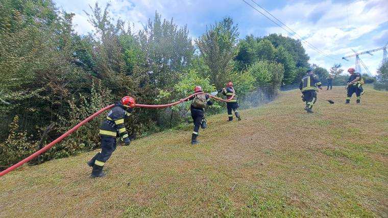 Opt incendii la vegetație, duminică, în Argeș