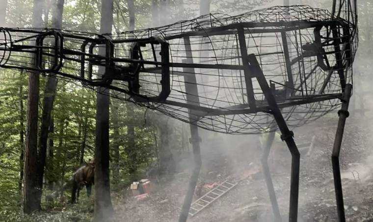 Incendiu la Dino Parc din Râşnov. Un dinozaur de zece metri a luat foc 