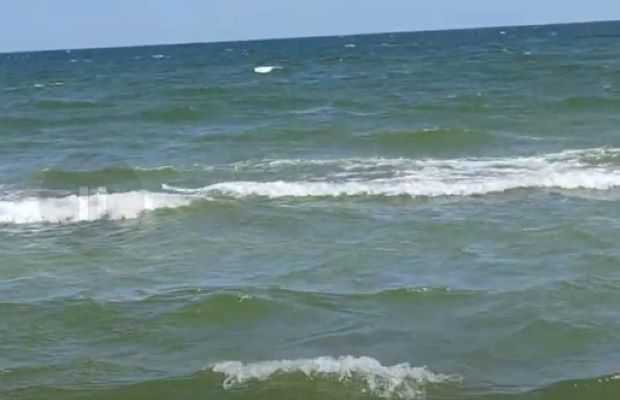 Cantități mari de E.coli în probele de apă de mare prelevate din zona plajelor neamenajate din localitățile Vadu și Corbu