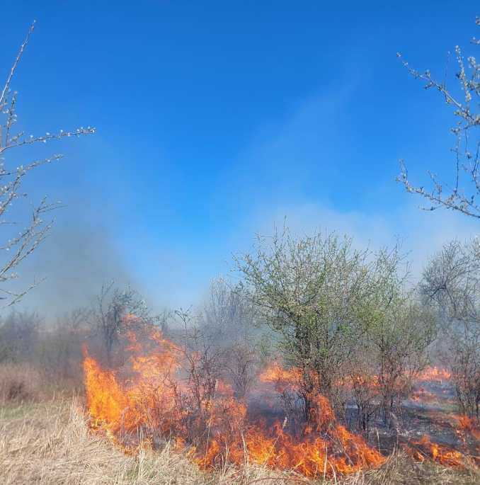 Un bătrân a căzut pradă flăcărilor în timp ce încerca să își salveze livada din incendiu