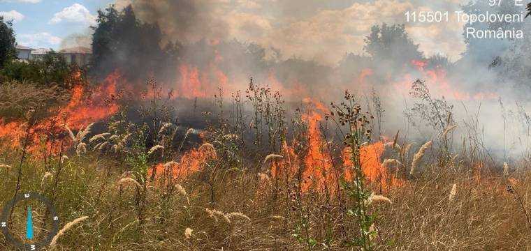 Video. Arde în Argeş! Incendii de vegetaţie uscată la Moşoaia, Topoloveni şi Izvoru